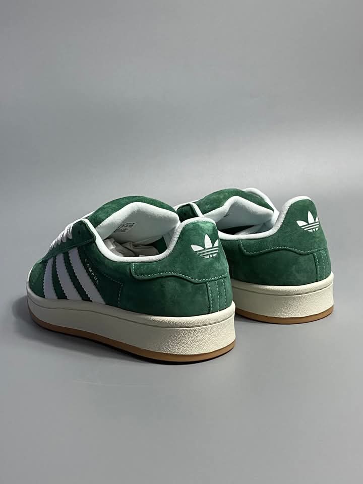Adidas Campus Green