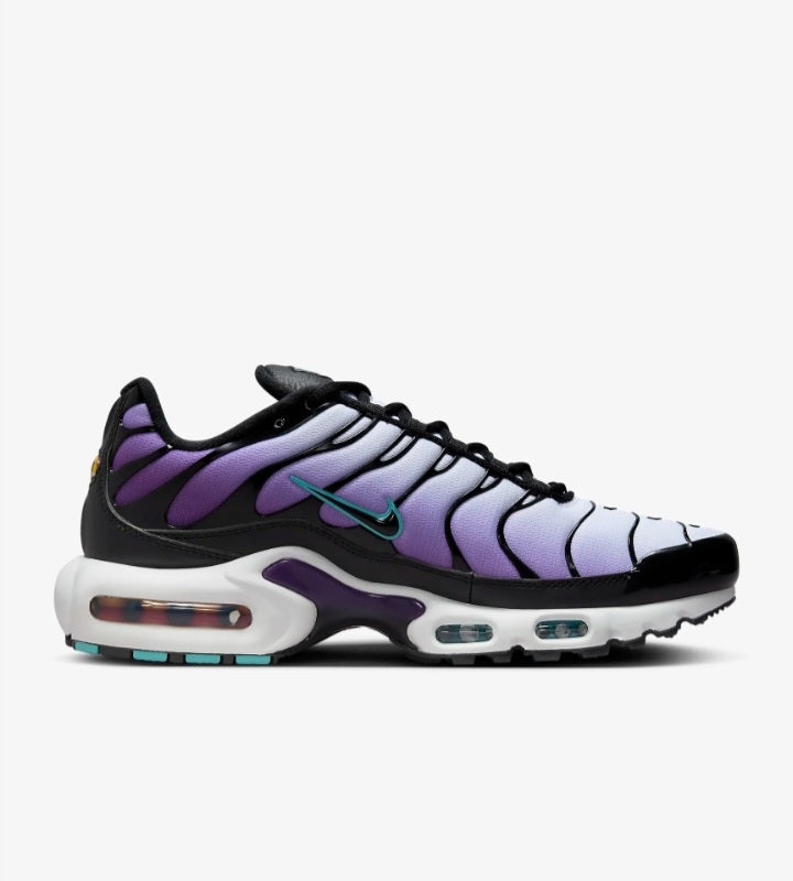 Nike TN Air Max Plus "Black & Purple"