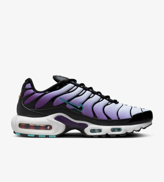 Nike TN Air Max Plus "Black & Purple"